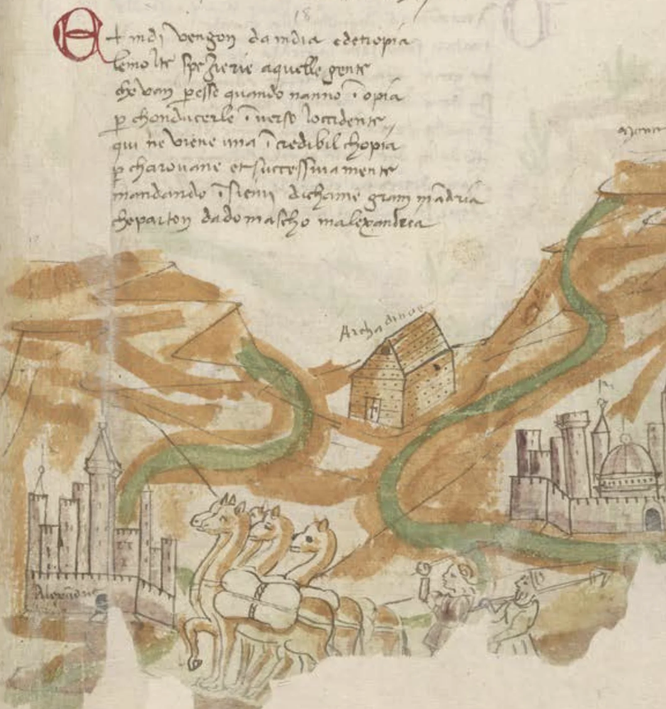 description of the image